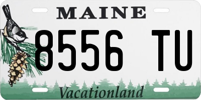 ME license plate 8556TU