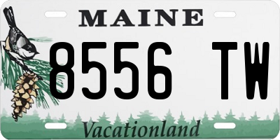 ME license plate 8556TW