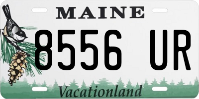 ME license plate 8556UR