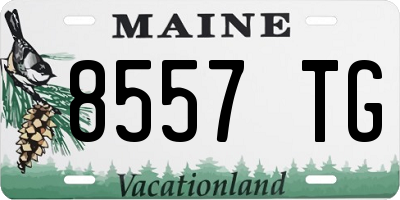 ME license plate 8557TG