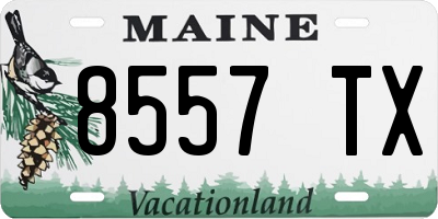ME license plate 8557TX