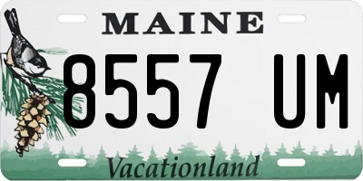 ME license plate 8557UM