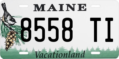 ME license plate 8558TI