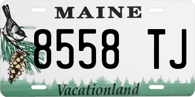 ME license plate 8558TJ