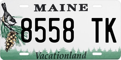ME license plate 8558TK