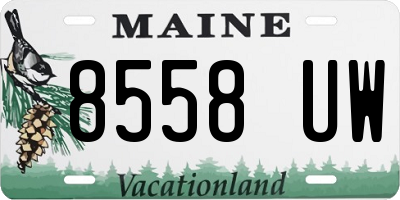 ME license plate 8558UW