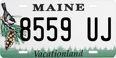 ME license plate 8559UJ