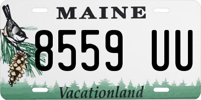 ME license plate 8559UU