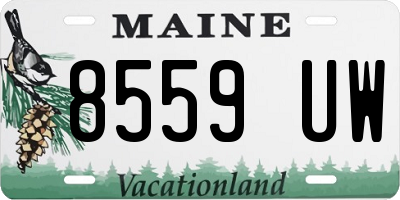 ME license plate 8559UW