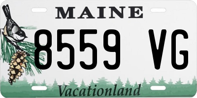 ME license plate 8559VG