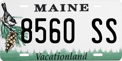 ME license plate 8560SS