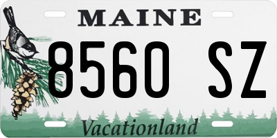 ME license plate 8560SZ