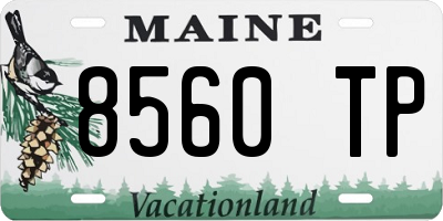 ME license plate 8560TP