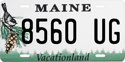 ME license plate 8560UG