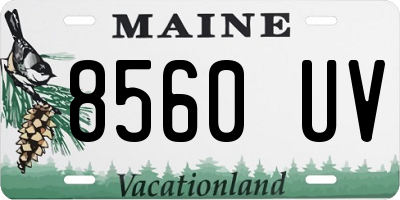 ME license plate 8560UV
