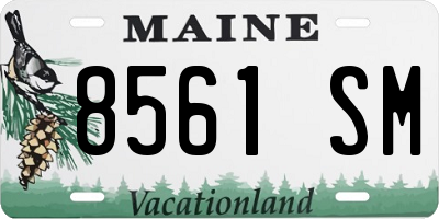 ME license plate 8561SM
