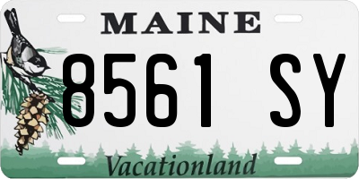 ME license plate 8561SY