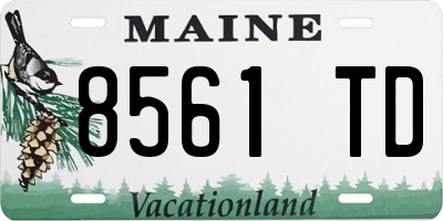 ME license plate 8561TD