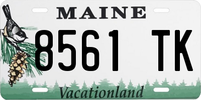 ME license plate 8561TK