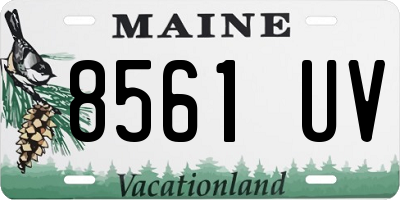 ME license plate 8561UV