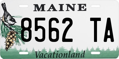 ME license plate 8562TA