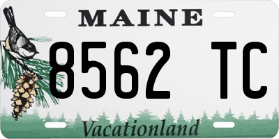ME license plate 8562TC