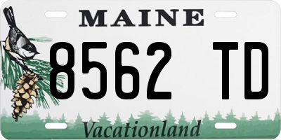 ME license plate 8562TD
