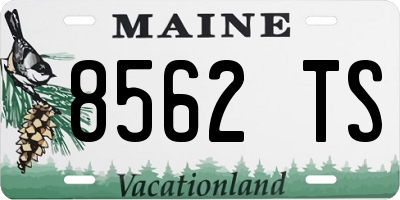 ME license plate 8562TS