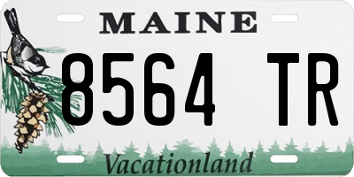 ME license plate 8564TR