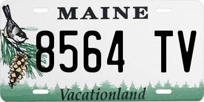 ME license plate 8564TV