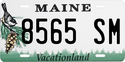 ME license plate 8565SM