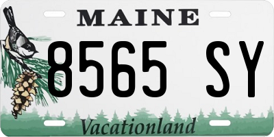 ME license plate 8565SY