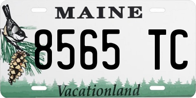 ME license plate 8565TC