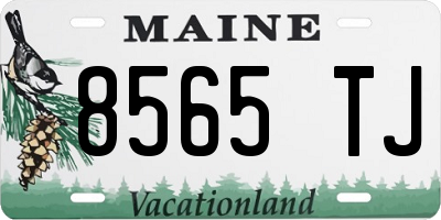 ME license plate 8565TJ