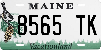 ME license plate 8565TK