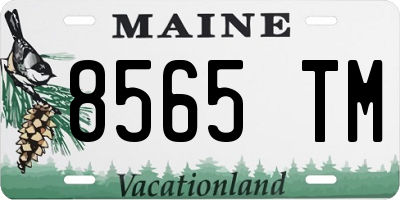 ME license plate 8565TM