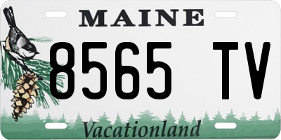 ME license plate 8565TV