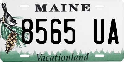 ME license plate 8565UA