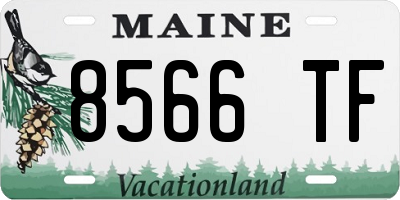 ME license plate 8566TF
