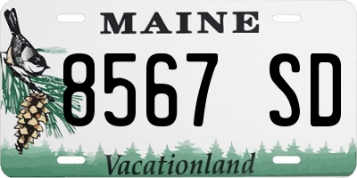 ME license plate 8567SD