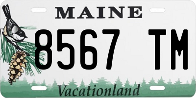 ME license plate 8567TM