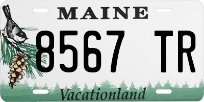 ME license plate 8567TR