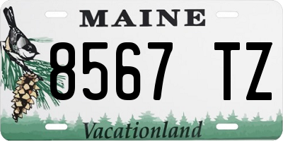 ME license plate 8567TZ
