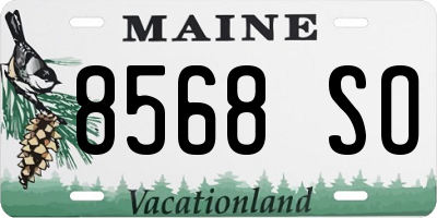 ME license plate 8568SO
