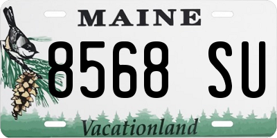 ME license plate 8568SU