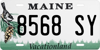 ME license plate 8568SY