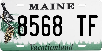 ME license plate 8568TF