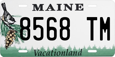 ME license plate 8568TM