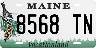 ME license plate 8568TN