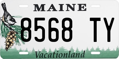 ME license plate 8568TY